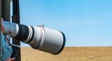 Canon’s Rumored Super-Telephoto Lens: The RF 200-500mm f/4L 1.4x